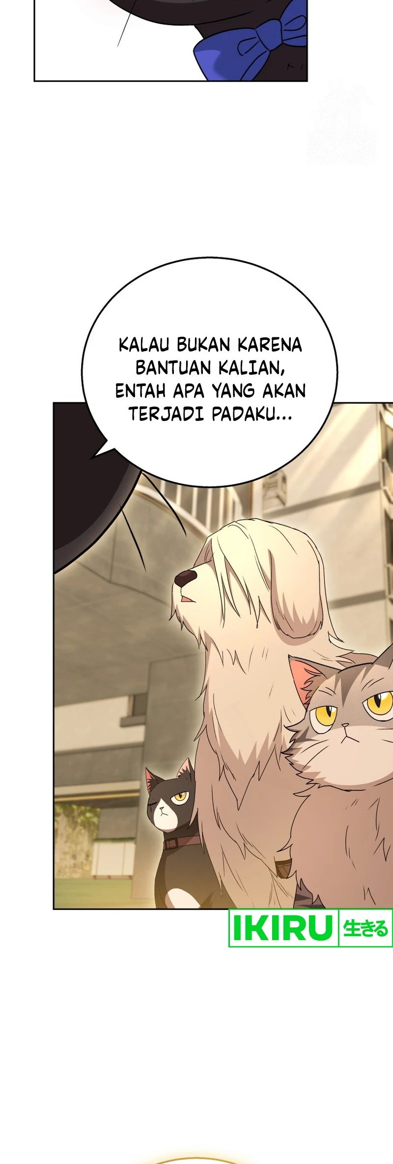 Hello? Veterinarian! Bab 78 halaman 19