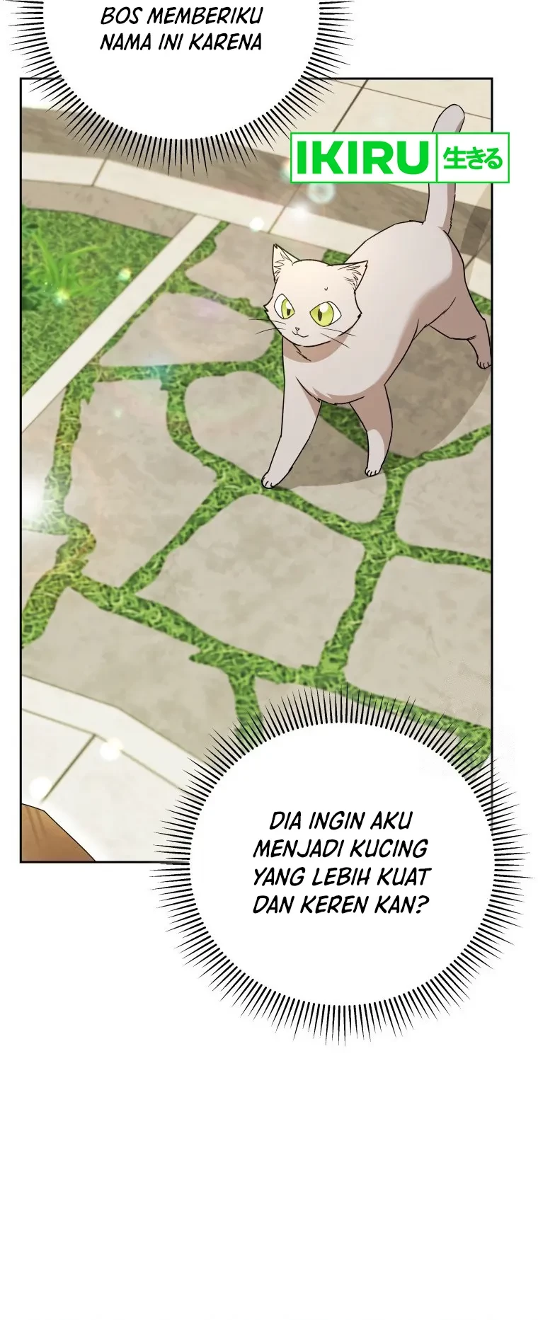 Hello? Veterinarian! Bab 81 halaman 11