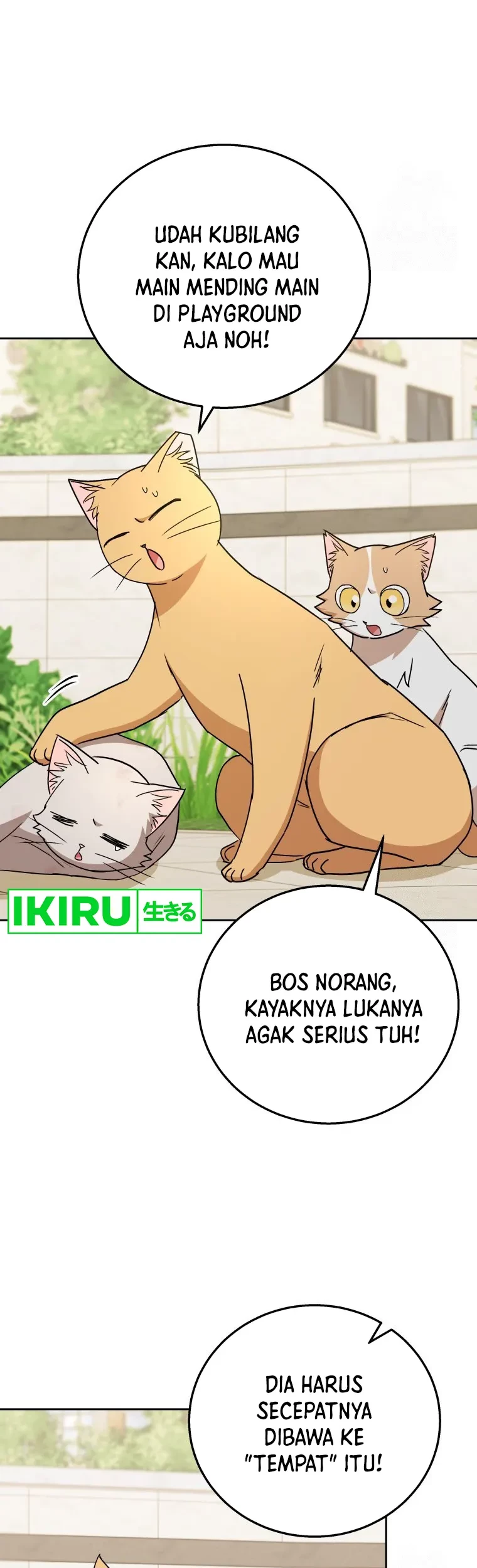 Hello? Veterinarian! Bab 81 halaman 17