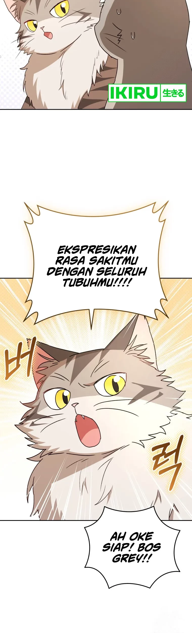 Hello? Veterinarian! Bab 81 halaman 34