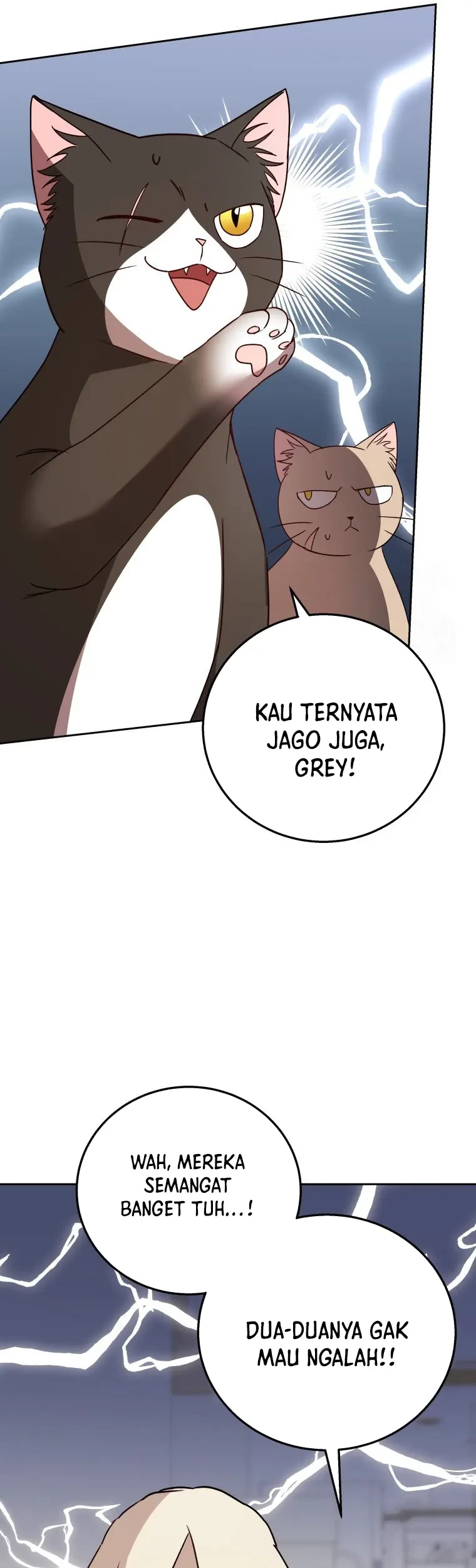 Hello? Veterinarian! Bab 81 halaman 47