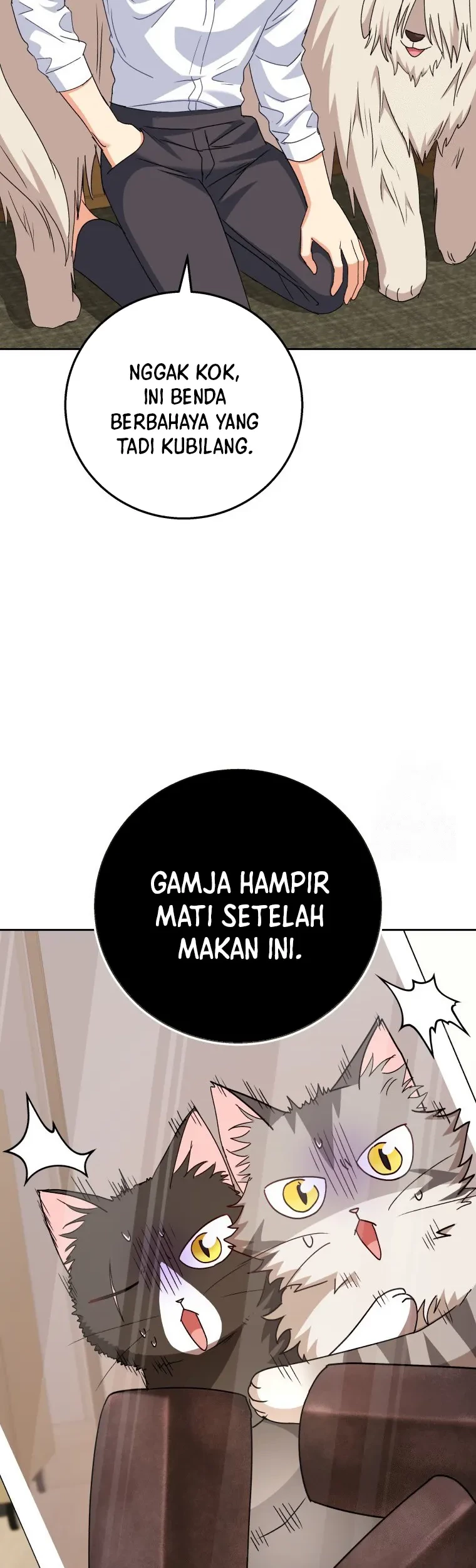 Hello? Veterinarian! Bab 82 halaman 8