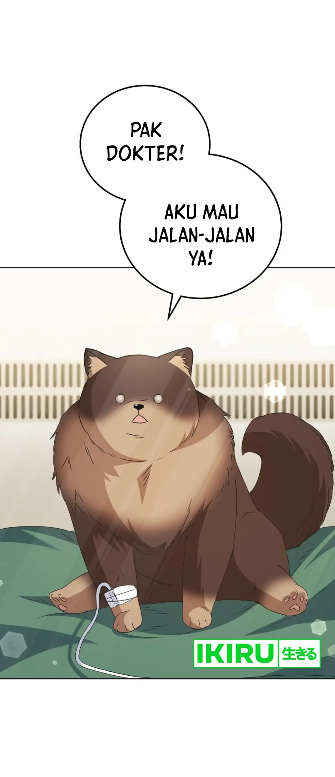 Hello? Veterinarian! Bab 91 halaman 2