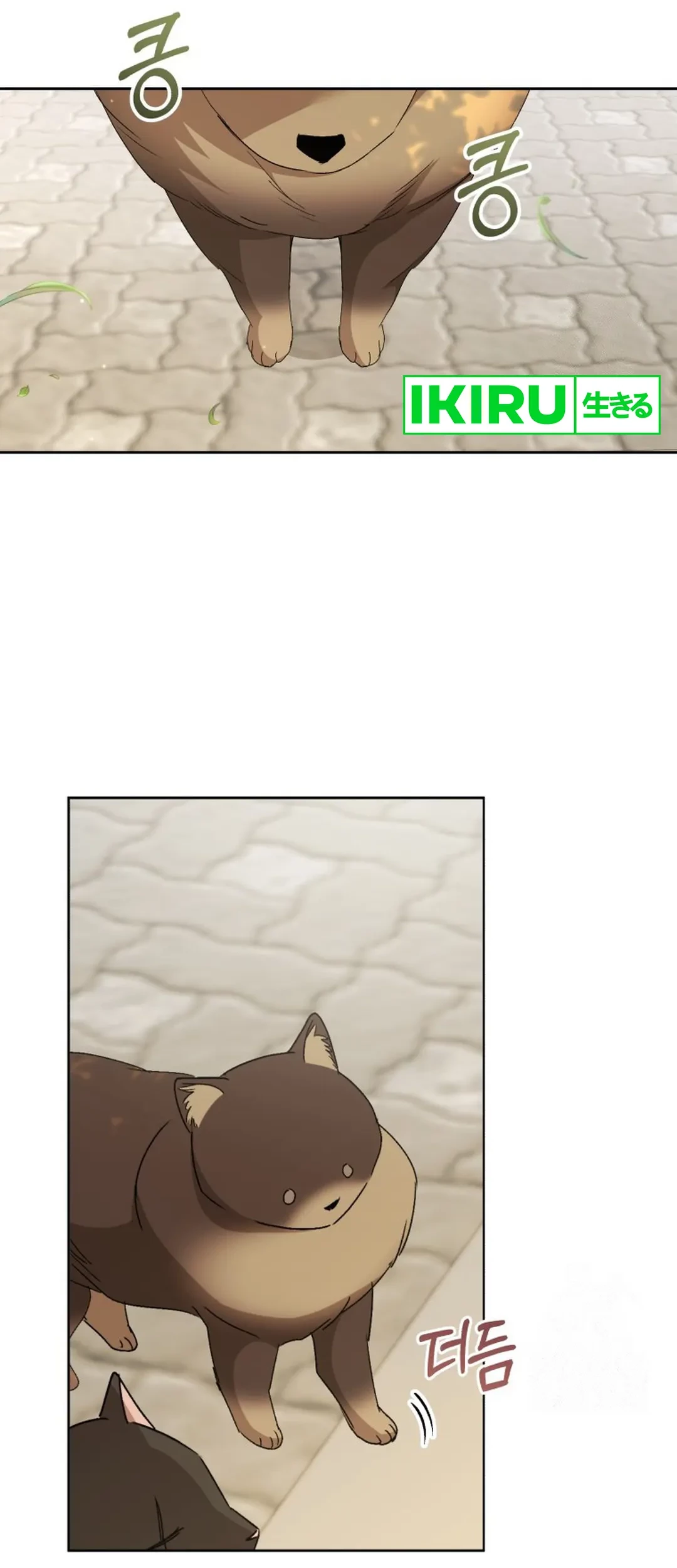 Hello? Veterinarian! Bab 91 halaman 53