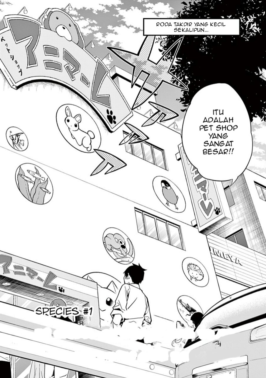 Himitsu no Reptiles Bab 1 halaman 4