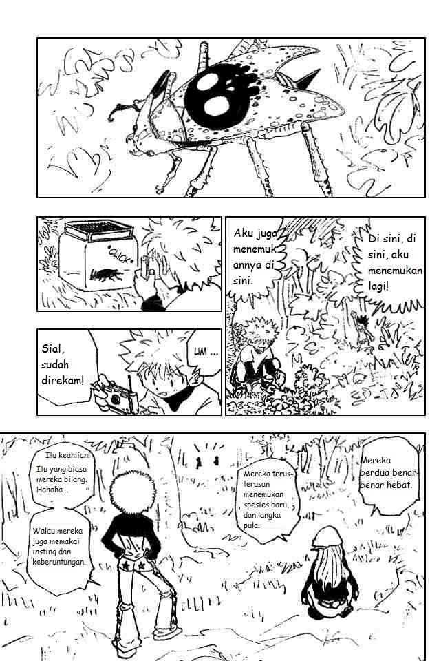 Hunter x Hunter Bab 186 halaman 11