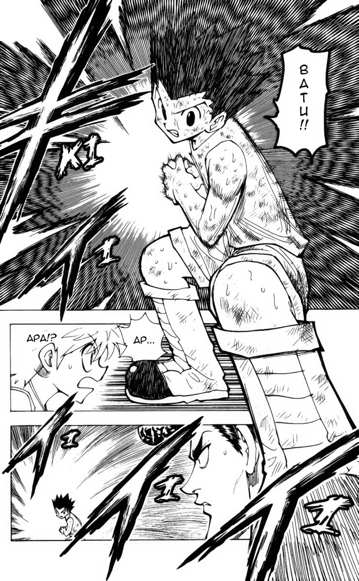 Hunter x Hunter Bab 208 halaman 14