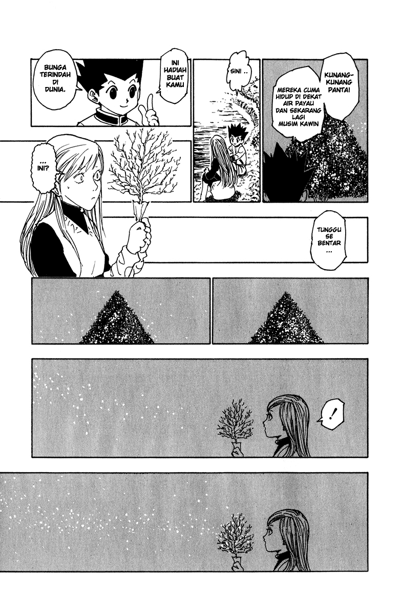 Hunter x Hunter Bab 218 halaman 13