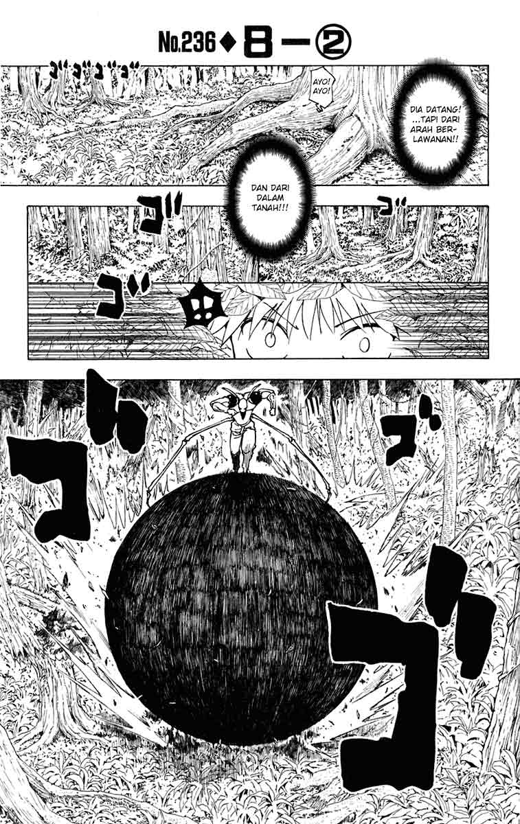 Hunter x Hunter Bab 236 halaman 1