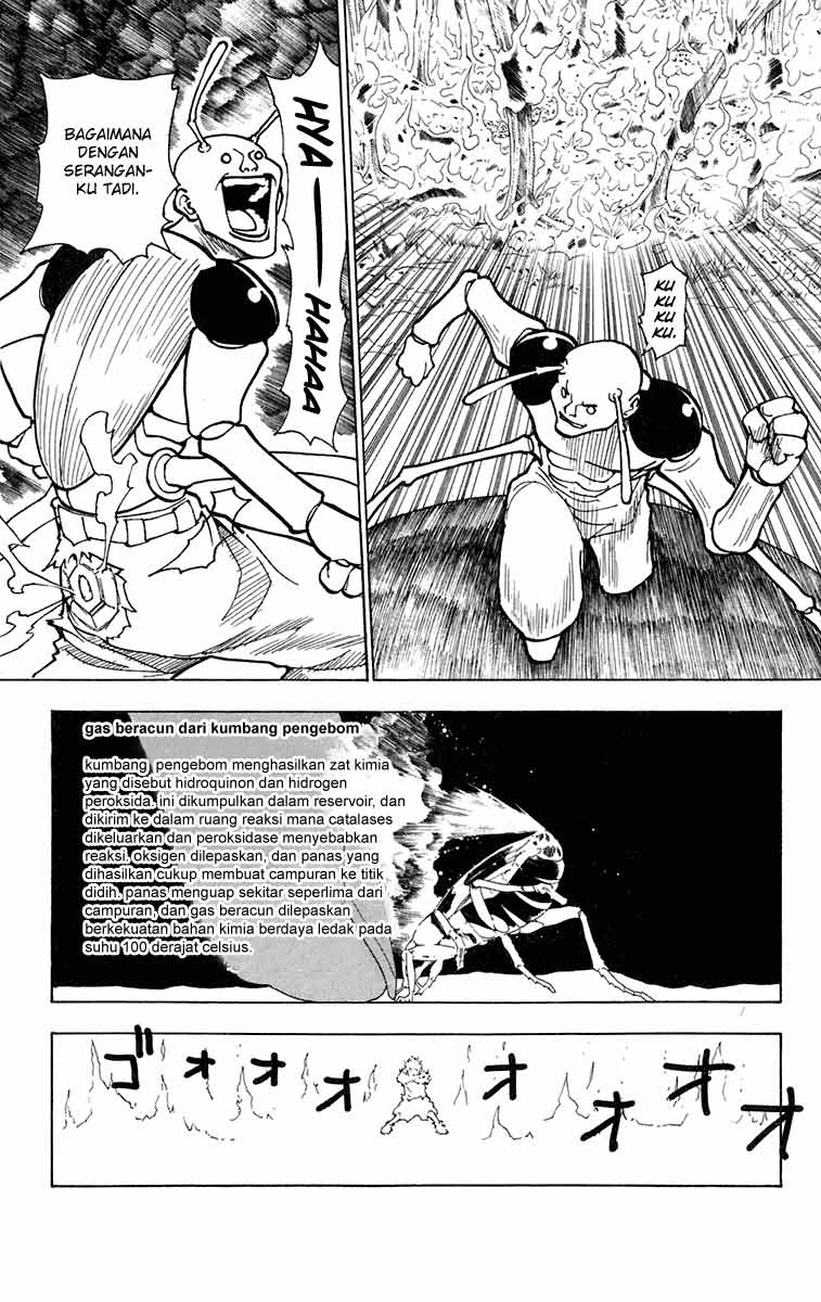 Hunter x Hunter Bab 236 halaman 11
