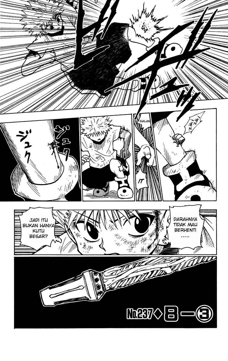 Hunter x Hunter Bab 237 halaman 1