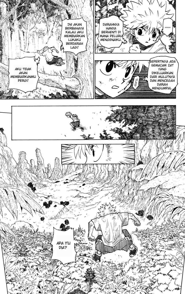 Hunter x Hunter Bab 237 halaman 10