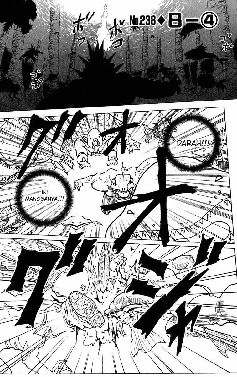 Hunter x Hunter Bab 238 halaman 1