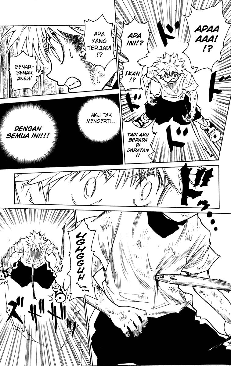 Hunter x Hunter Bab 239 halaman 2