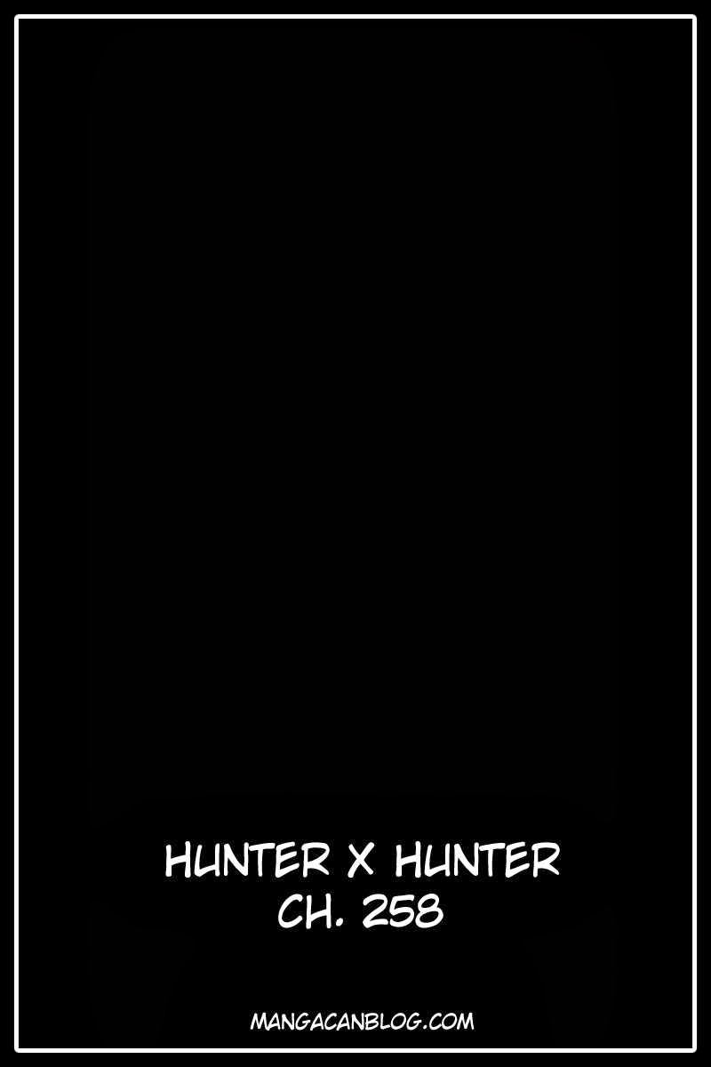 Hunter x Hunter Bab 258 halaman 17