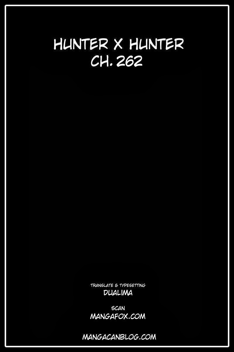 Hunter x Hunter Bab 262 halaman 21