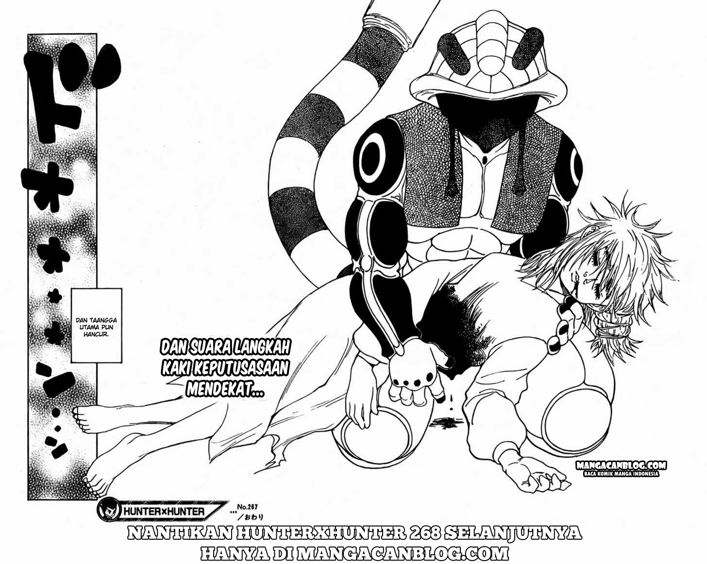 Hunter x Hunter Bab 267 halaman 17