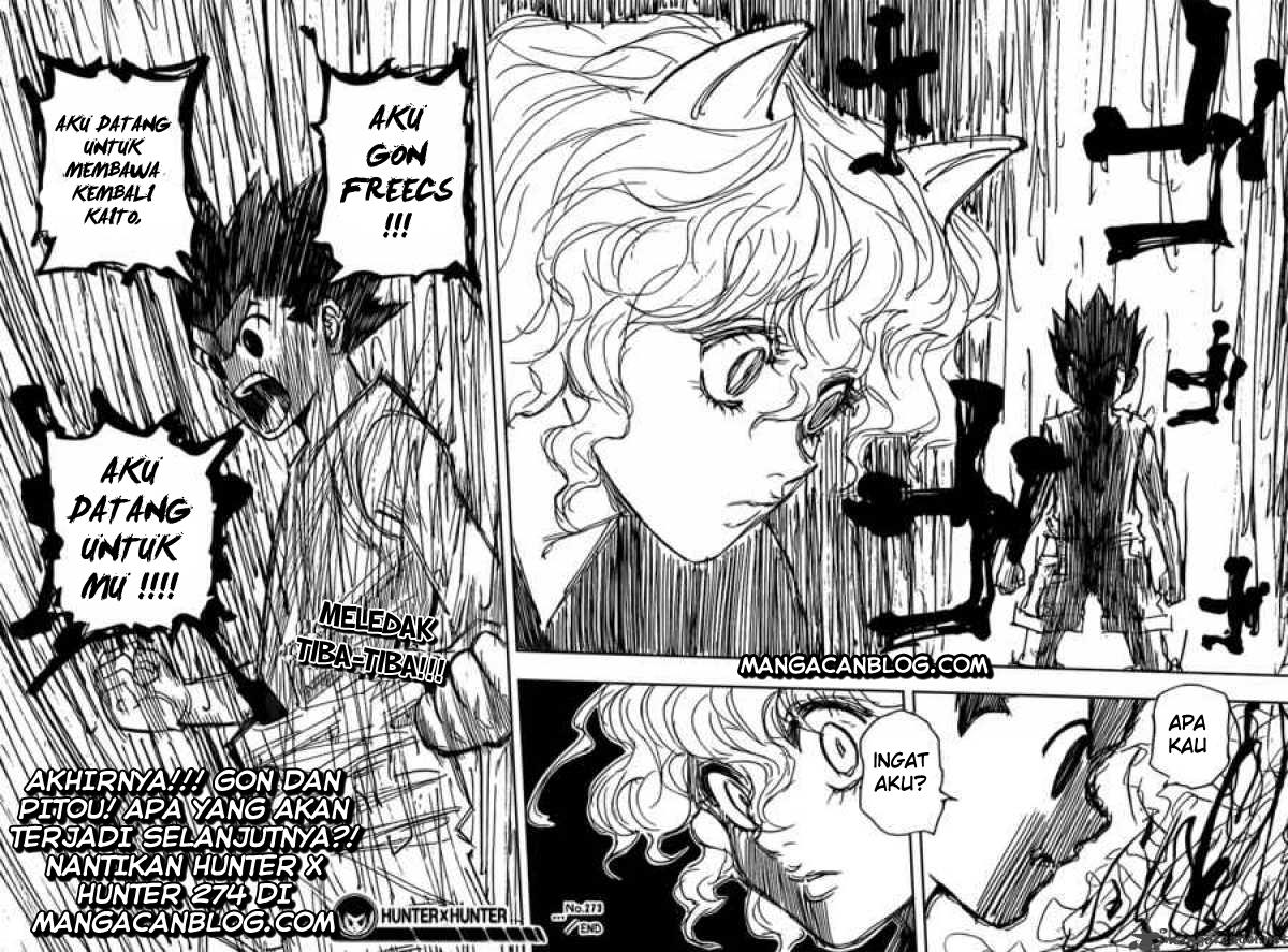 Hunter x Hunter Bab 273 halaman 19