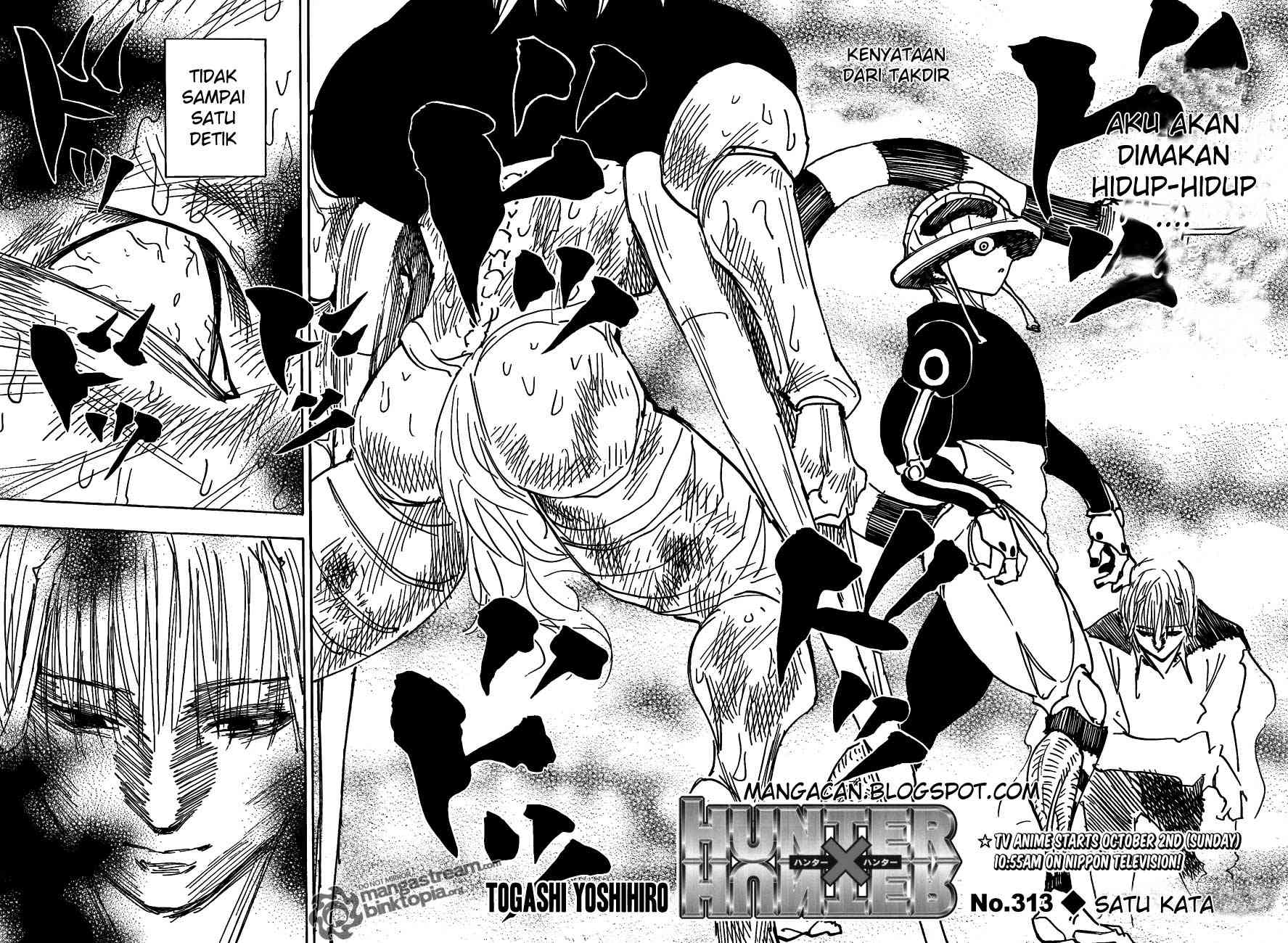 Hunter x Hunter Bab 313 halaman 3