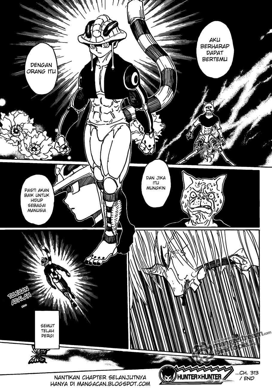 Hunter x Hunter Bab 313 halaman 15