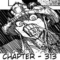 Hunter x Hunter Bab 313 halaman 16