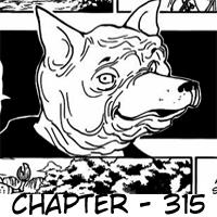 Hunter x Hunter chapter 315 halaman 20