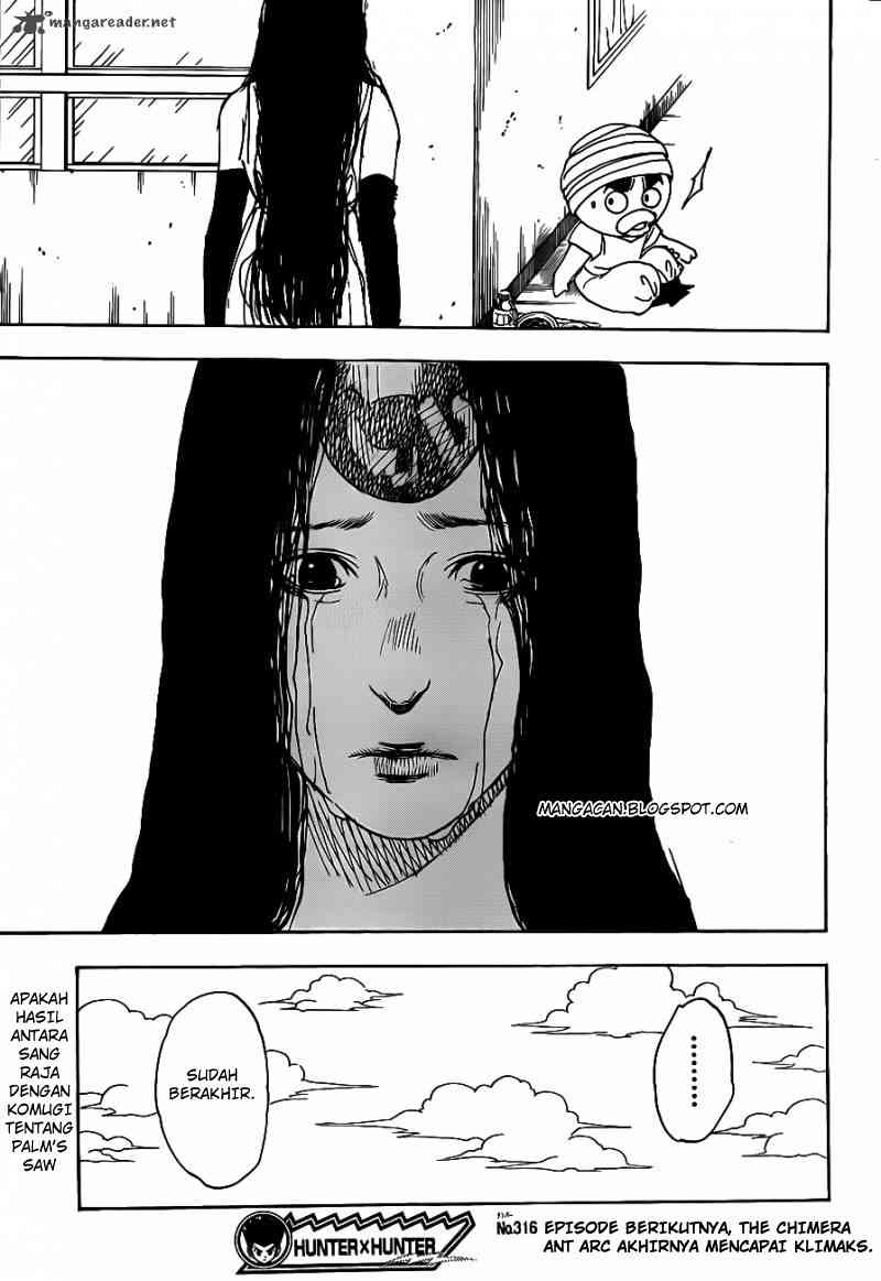 Hunter x Hunter Bab 316 halaman 19
