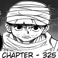 Hunter x Hunter Bab 325 halaman 19