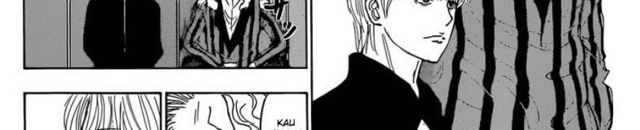 Hunter x Hunter Bab 393 halaman 10