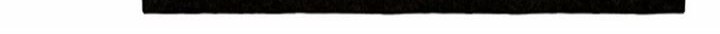 I Raised A Black Dragon Bab 9 halaman 14