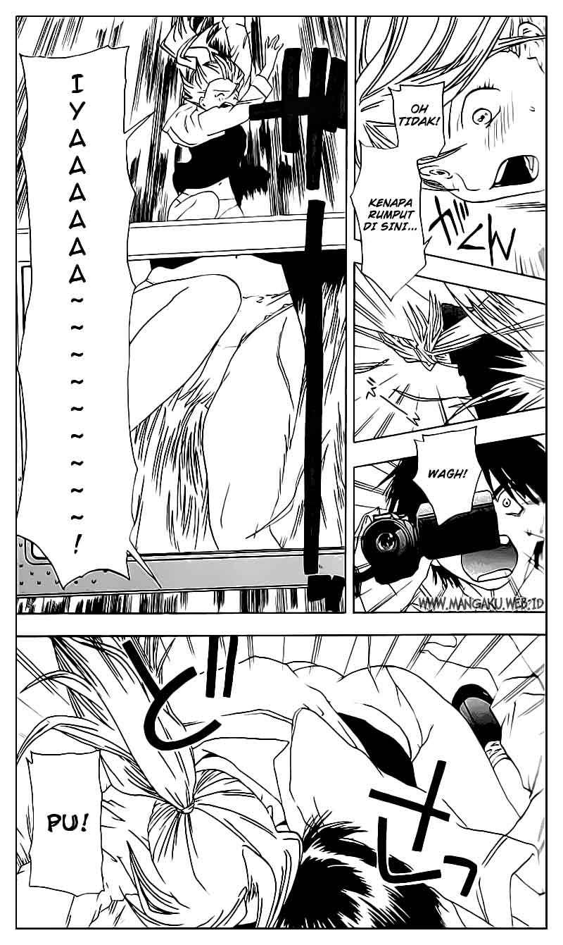 Ichigo 100% chapter 19 halaman 14
