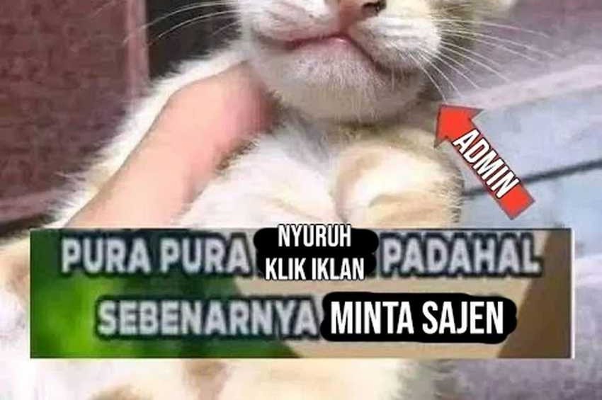 I’m A Peerless Master chapter 71 halaman 47