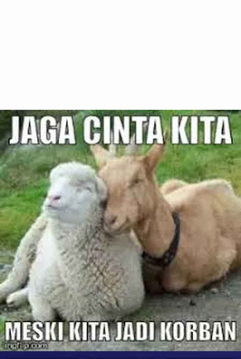 Insector Bab 15 halaman 96