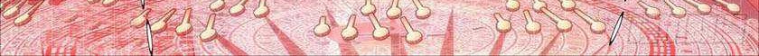 Iron Ladies chapter 410 halaman 4