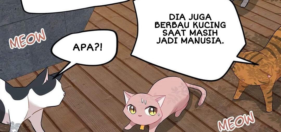 Just for a Meowment Bab 21 halaman 23