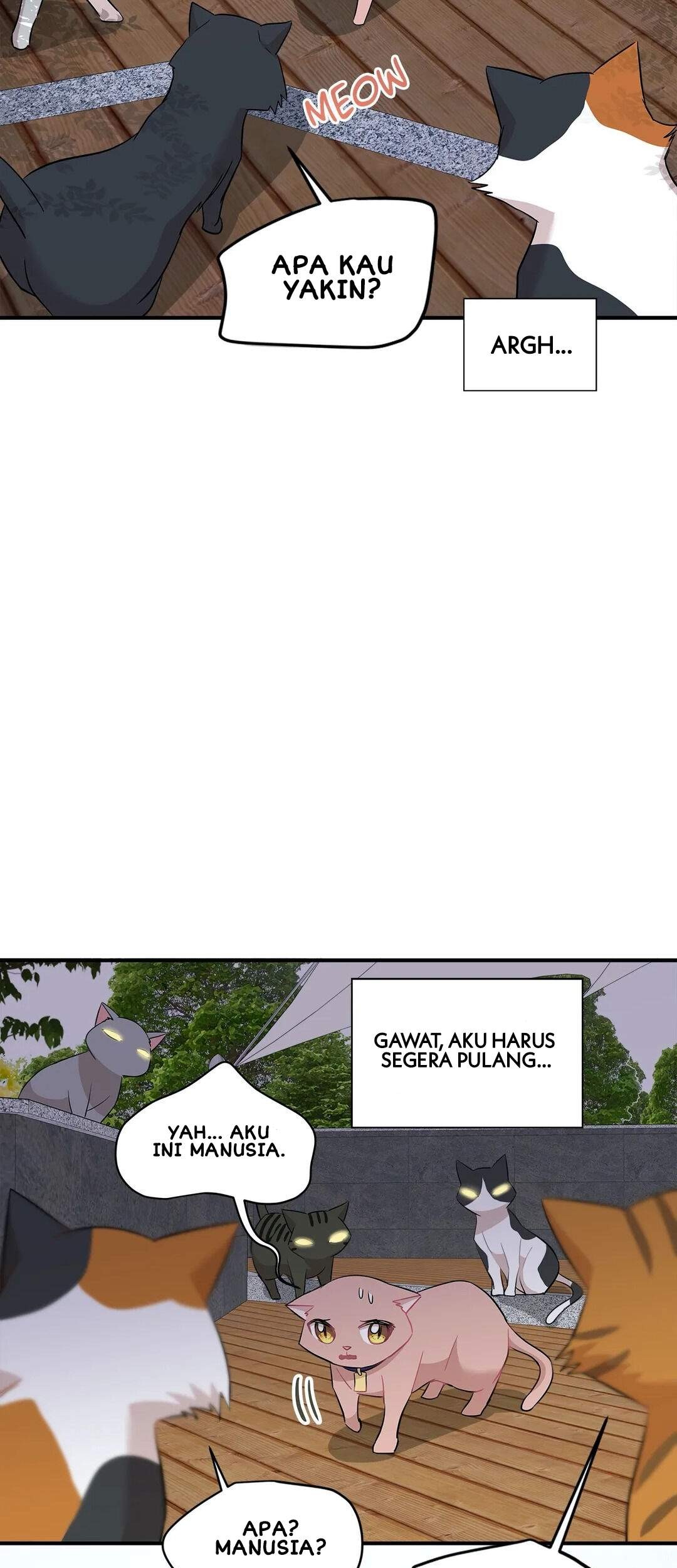 Just for a Meowment Bab 21 halaman 24