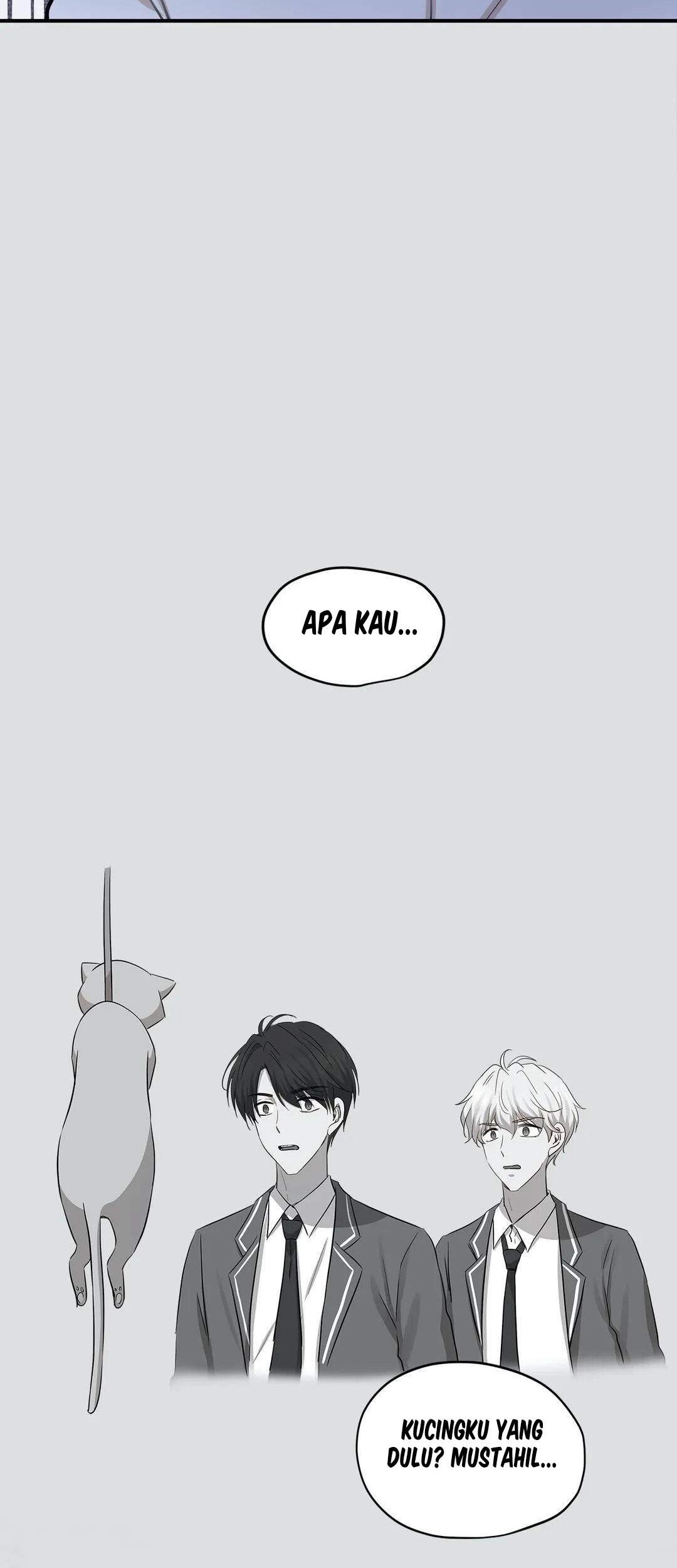 Just for a Meowment chapter 42 halaman 11