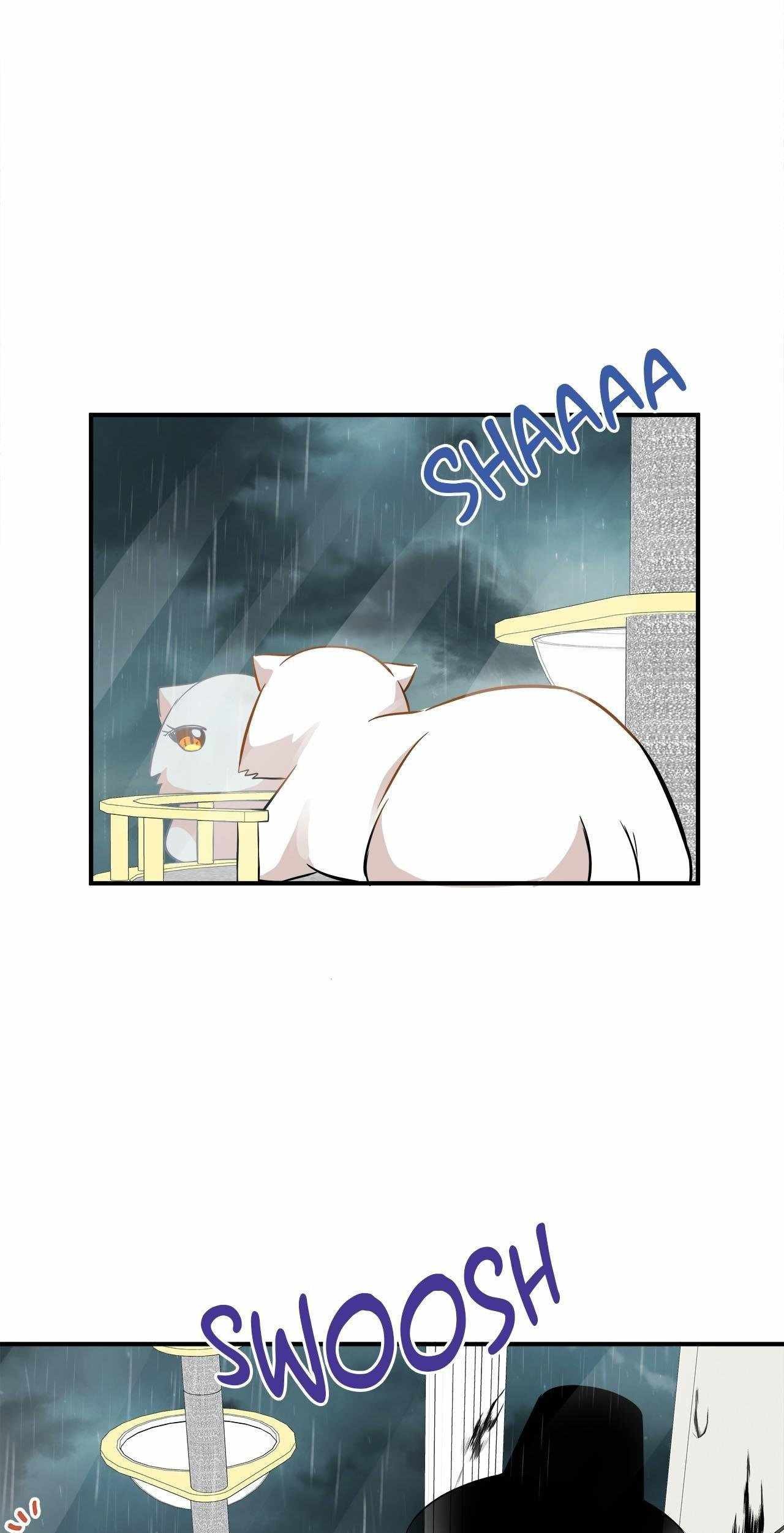 Just for a Meowment chapter 46 halaman 62