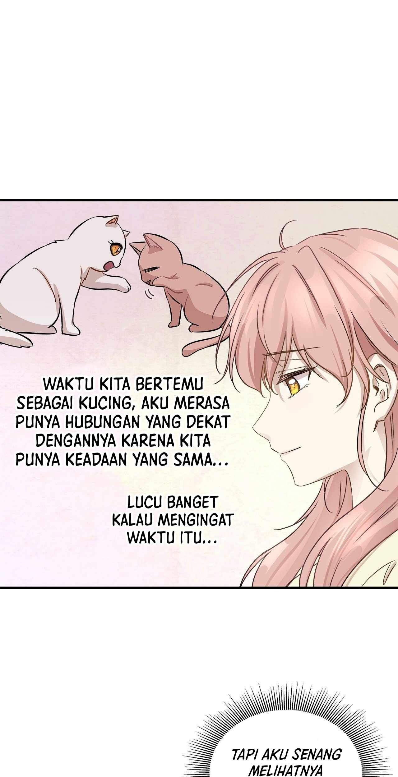 Just for a Meowment chapter 53 halaman 34
