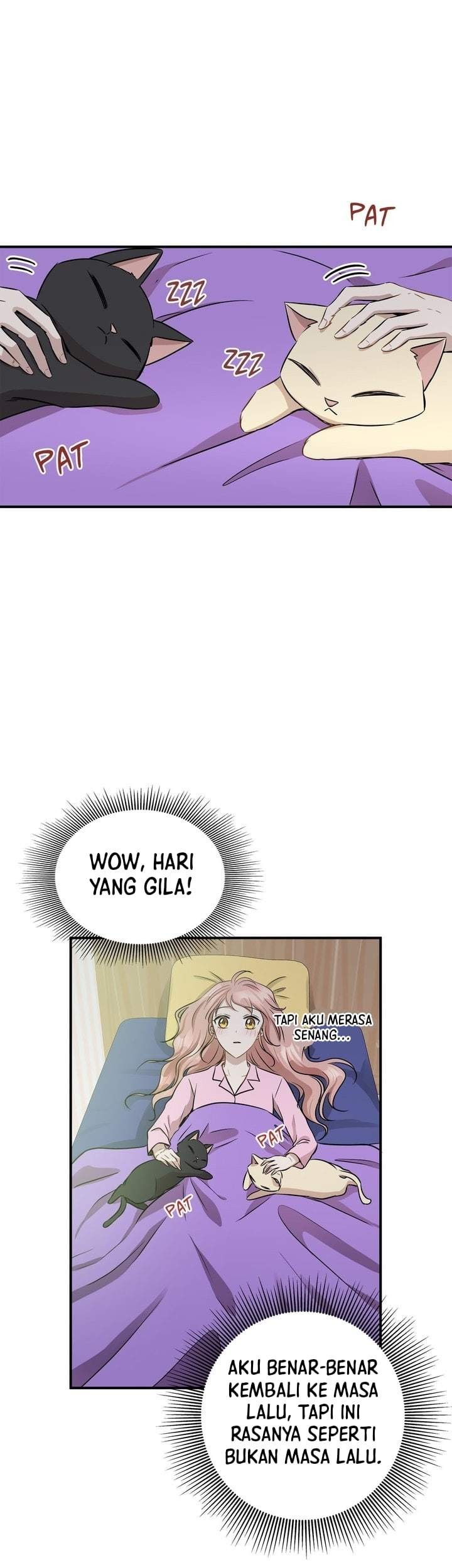 Just for a Meowment chapter 55 halaman 47