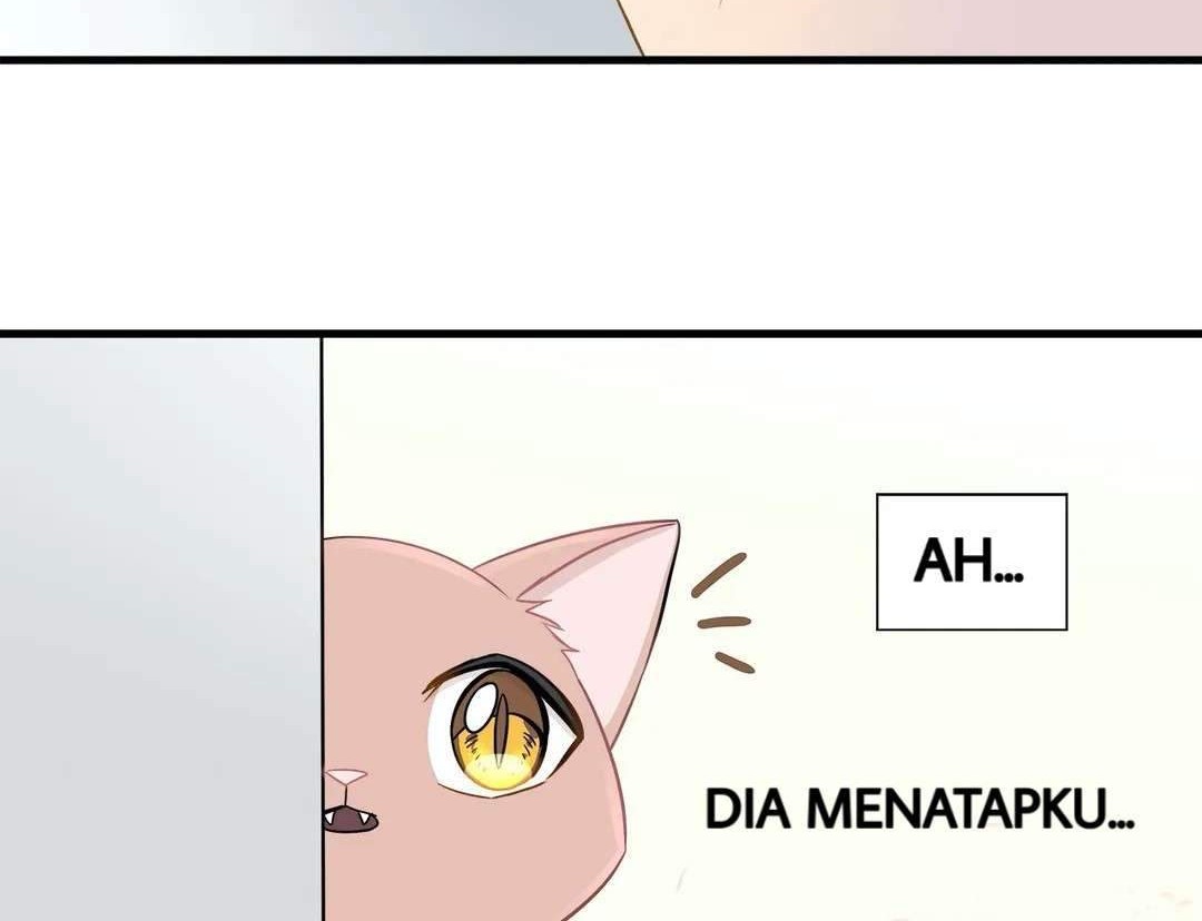 Just for a Meowment Bab 6 halaman 43