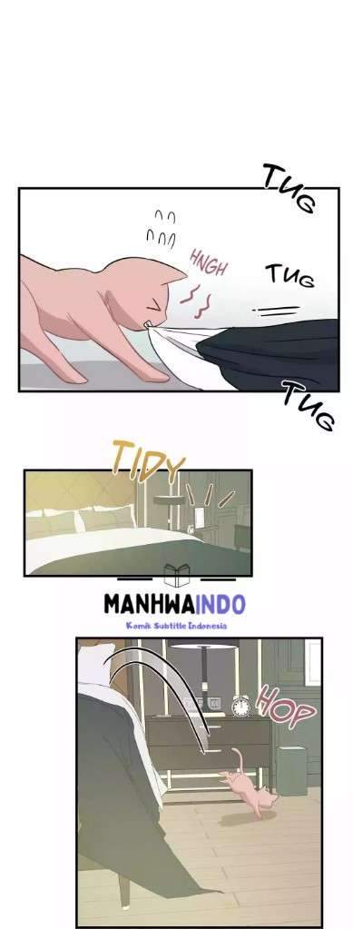 Just for a Meowment chapter 8 halaman 52
