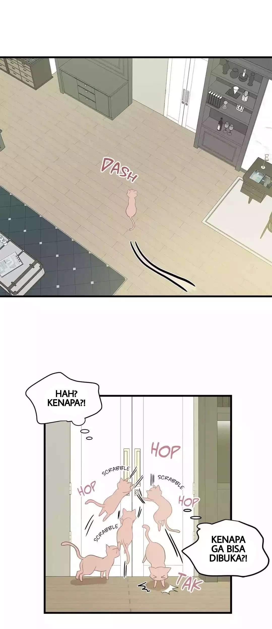 Just for a Meowment chapter 8 halaman 53