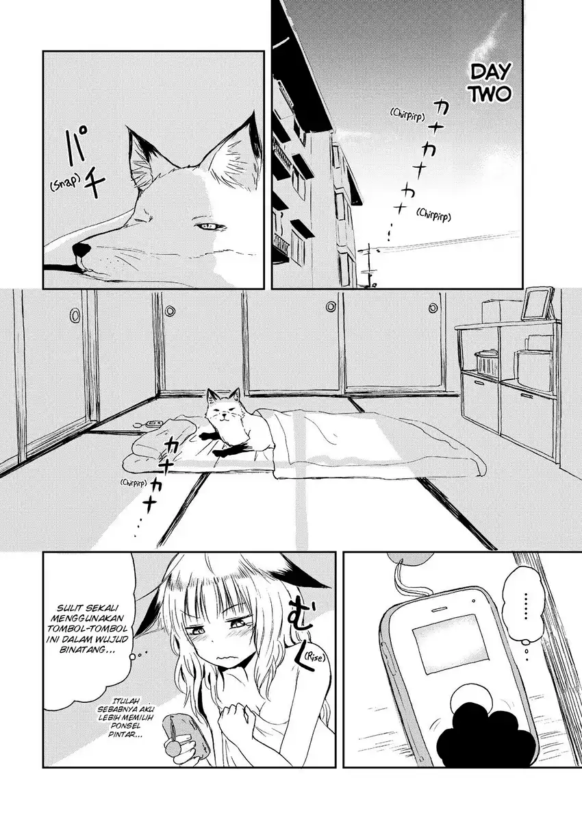 Kitsune no Oyome-chan Bab 5 halaman 13