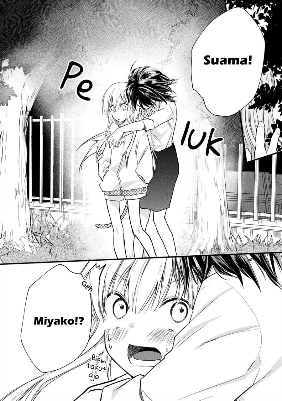 Koneko ga Matterunode Kaerimasu Bab 11 halaman 12