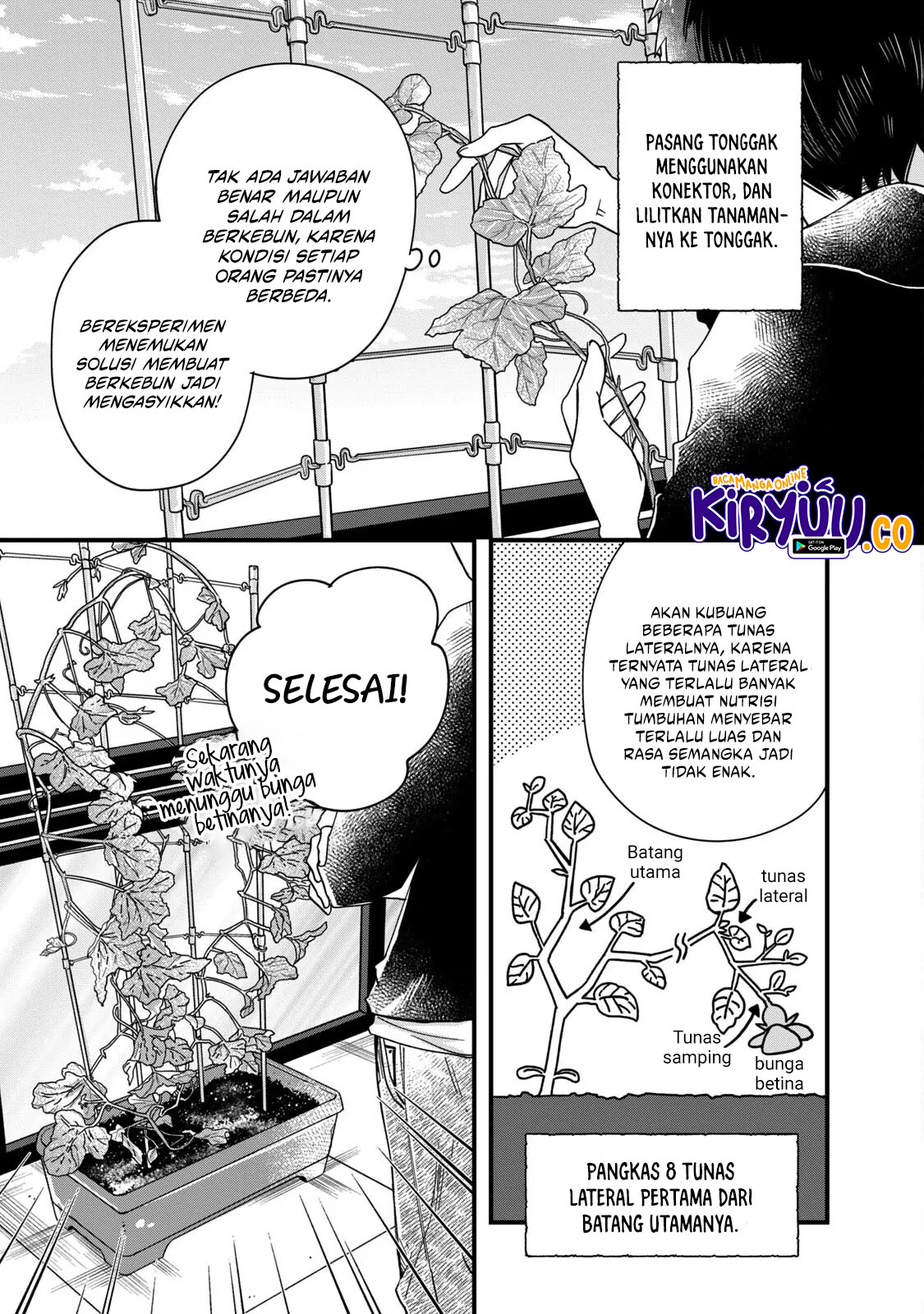 Kyou mo Veranda de chapter 54 halaman 3