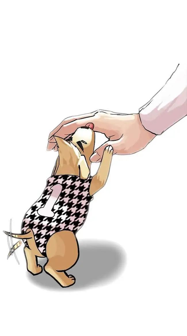 Lookism chapter 70 halaman 40