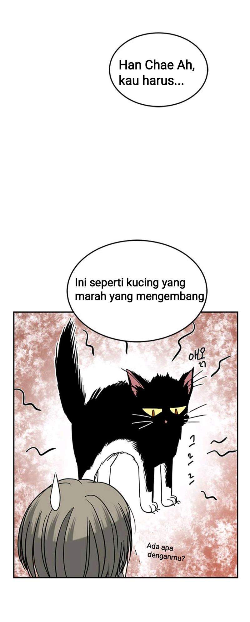 Loop Bab 74 halaman 24