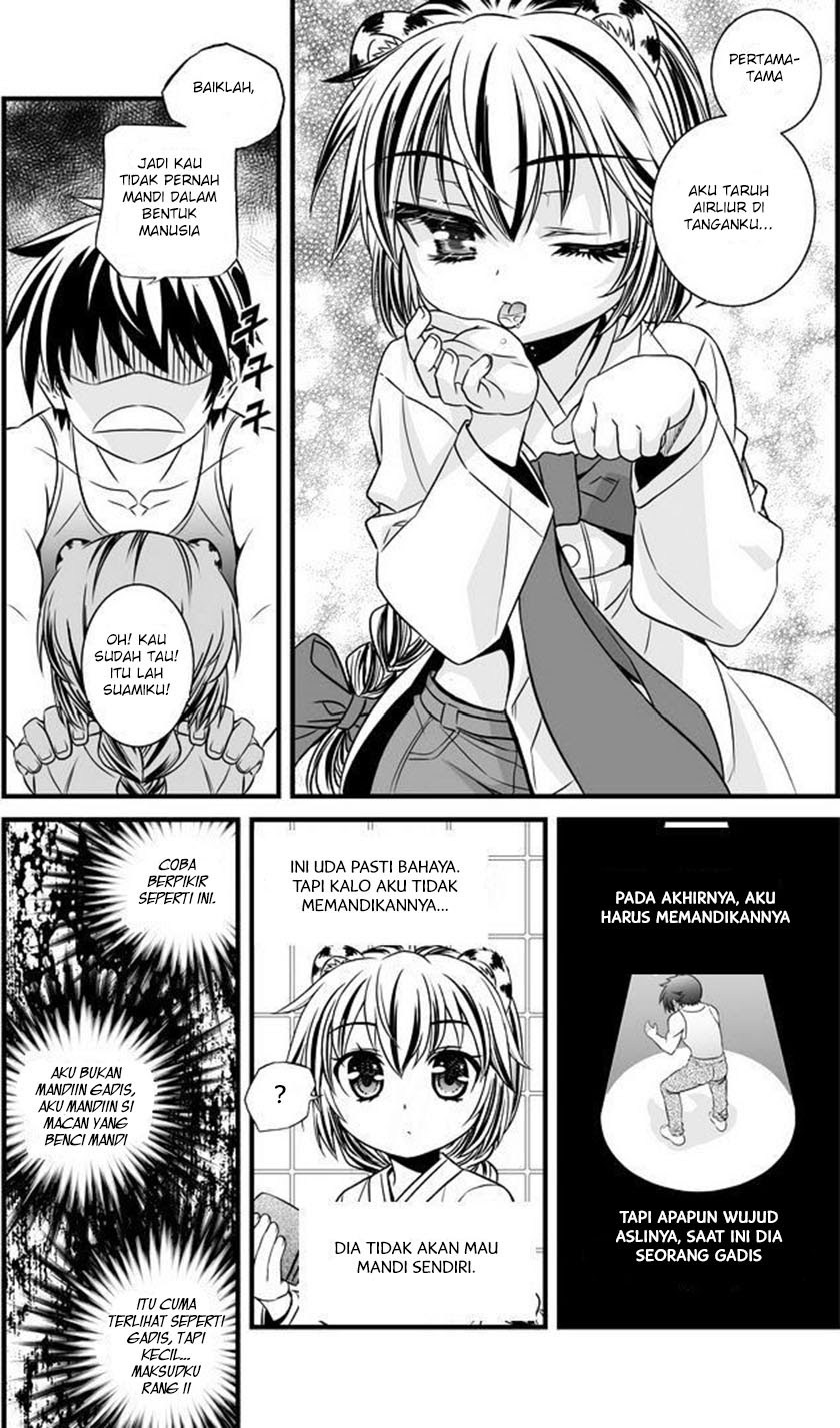 My Love Tiger chapter 07 halaman 6