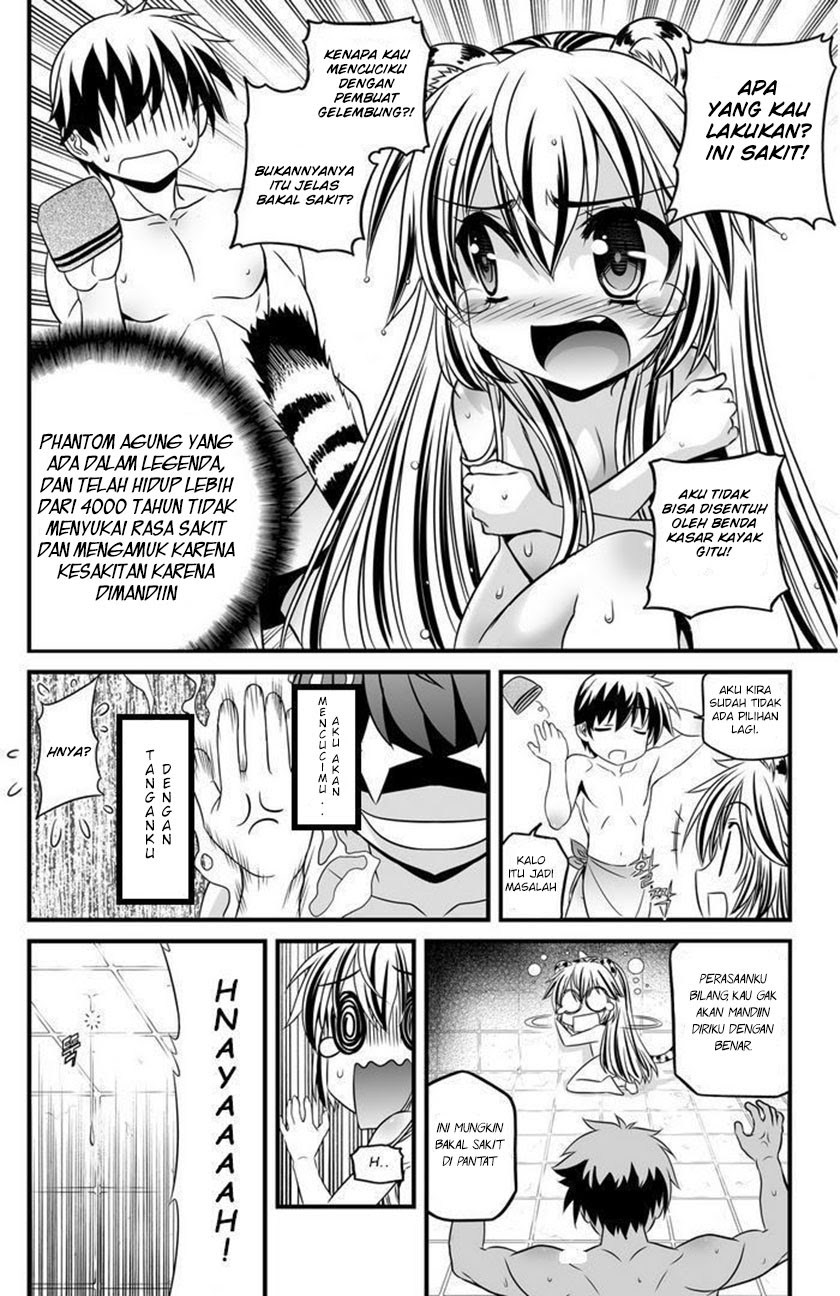 My Love Tiger chapter 07 halaman 11